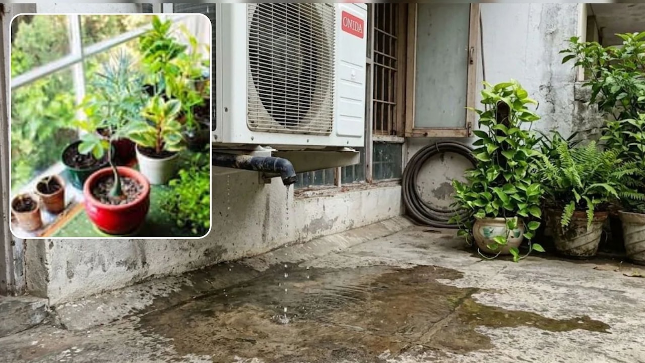 क्या AC का पानी पौधों में डालना चाहिए? पौधों पर कैसा पड़ता है असर, जानिए AC के पानी का उपयोग कैसे करें