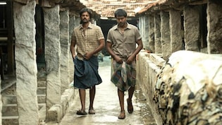 Keerthy Suresh's <i>Dorothy</i> Faces Backlash Over LGBTQ+ Depiction, Boycott Calls Flood X