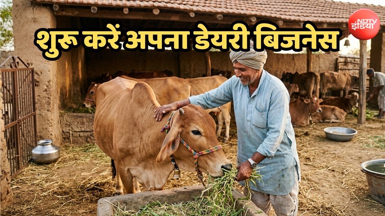 शुरू करें अपना डेयरी फार्मिंग बिजनेस, सरकार दे रही 50 प्रतिशत तक सब्सिडी, ऐसे मिलेगा लोन