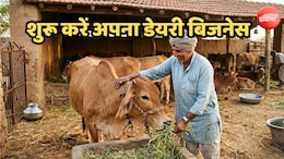 शुरू करें अपना डेयरी फार्मिंग बिजनेस, सरकार दे रही 50 प्रतिशत तक सब्सिडी, ऐसे मिलेगा लोन