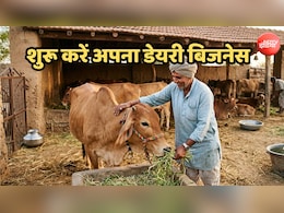शुरू करें अपना डेयरी फार्मिंग बिजनेस, सरकार दे रही 50 प्रतिशत तक सब्सिडी, ऐसे मिलेगा लोन