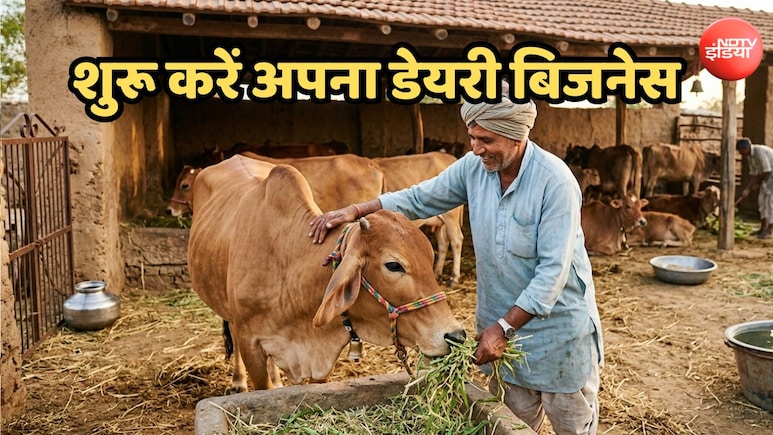 शुरू करें अपना डेयरी फार्मिंग बिजनेस, सरकार दे रही 50 प्रतिशत तक सब्सिडी, ऐसे मिलेगा लोन