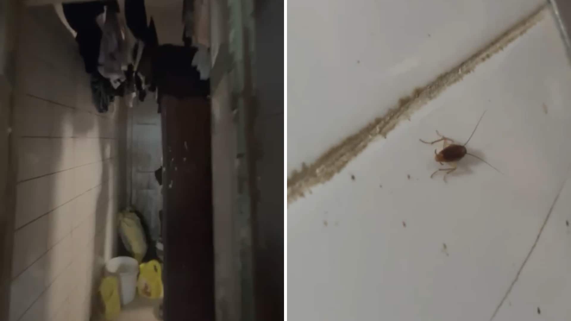 Urinal In Food Storage, Roaches In Kitchen: Iconic Mumbai Cafe Loses Licence