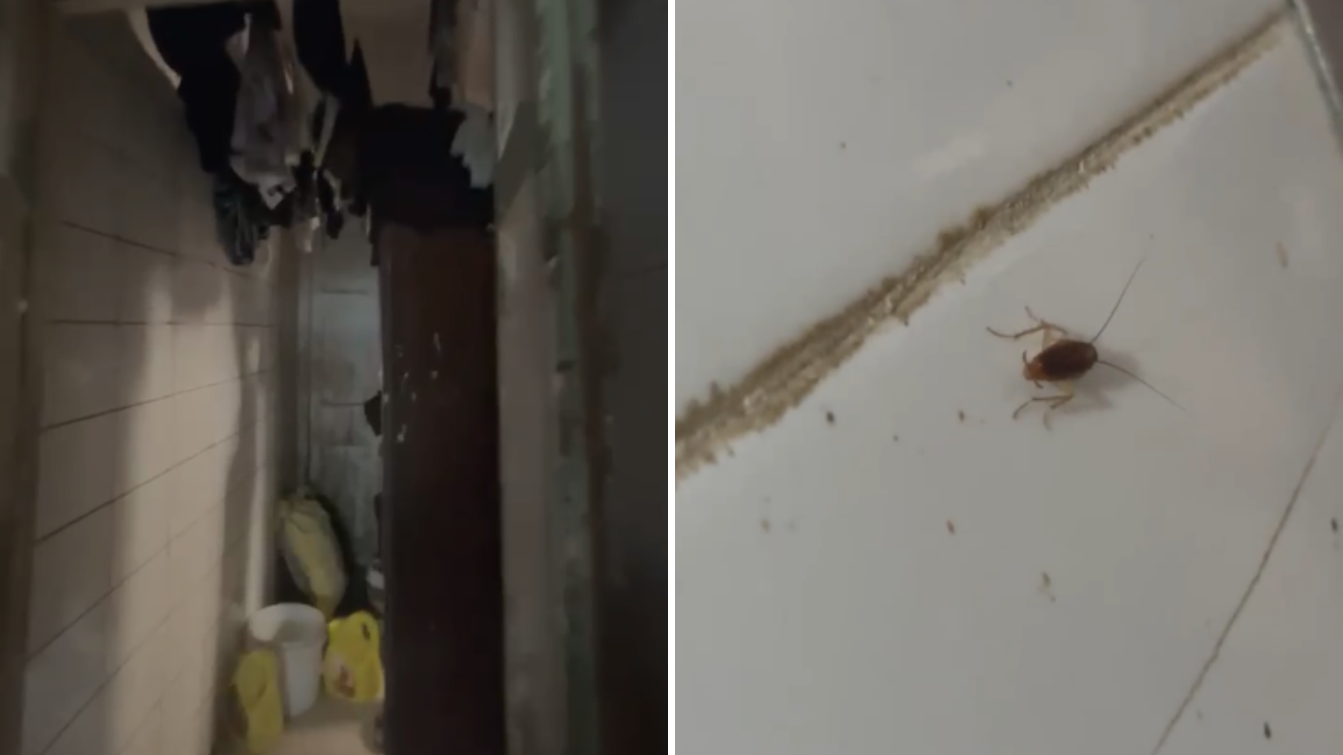 Urinal In Food Storage, Roaches On Plates: Iconic Mumbai Cafe Loses Licence
