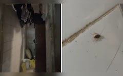 Urinal In Food Storage, Roaches In Kitchen: Iconic Mumbai Cafe Loses Licence
