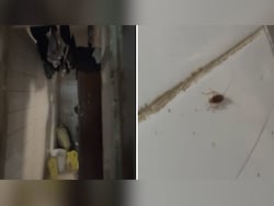 Urinal In Food Storage Area, Cockroaches In Kitchen: Iconic Mumbai Cafe Loses Licence