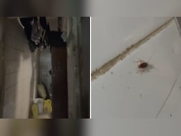 Urinal In Food Storage Area, Cockroaches In Kitchen: Iconic Mumbai Cafe Loses Licence