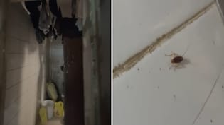 Urinal In Food Storage Area, Cockroaches In Kitchen: Iconic Mumbai Cafe Loses Licence