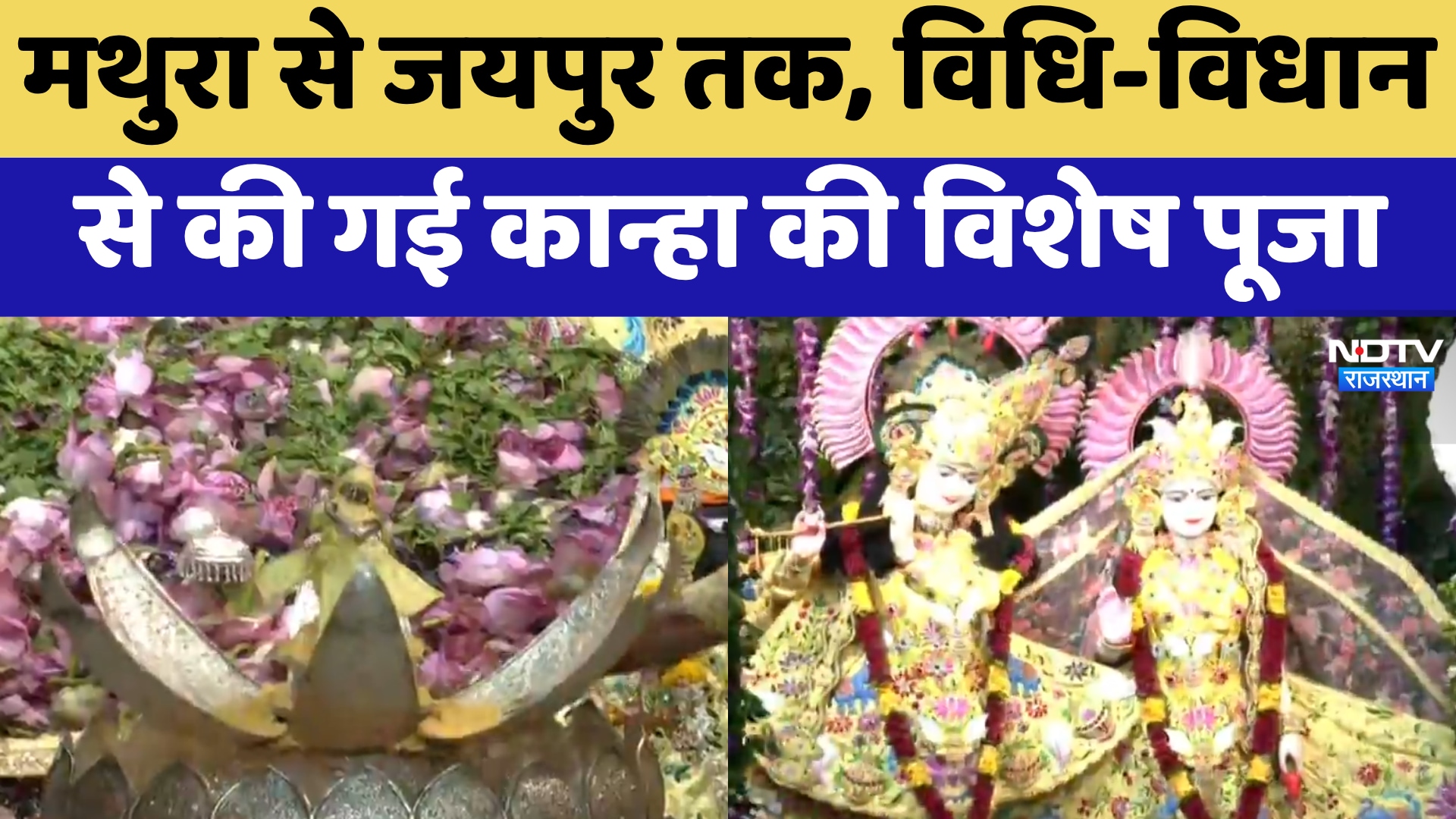 Krishna Janmashtami 2026: Mathura से Jaipur तक, विधि-विधान से की गई कान्हा की विशेष पूजा