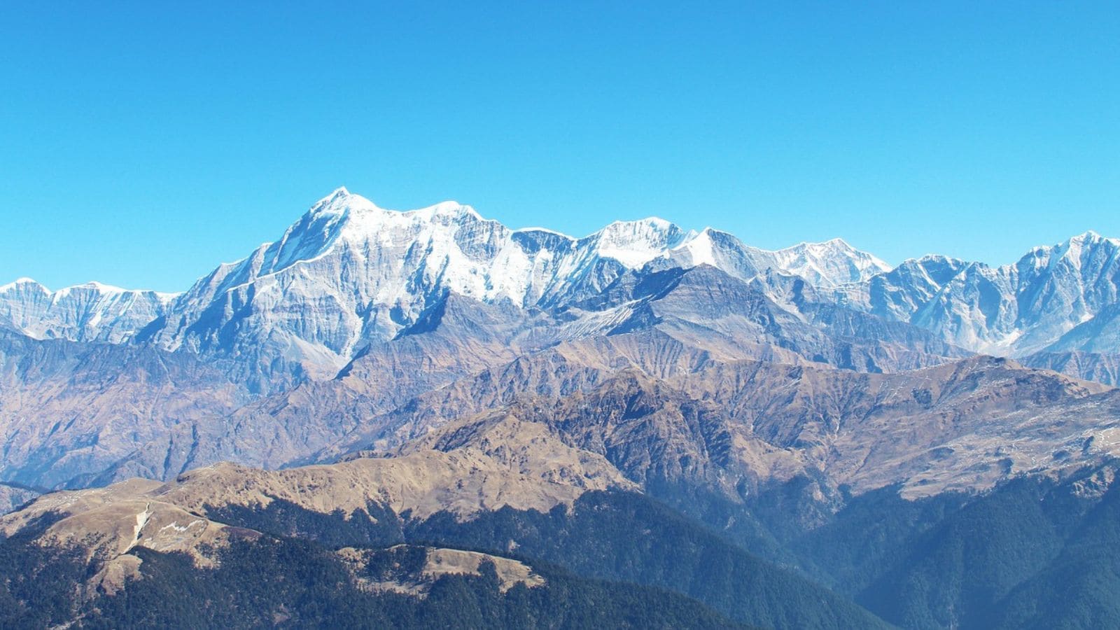 Himalayan Disasters Highlight Environmental Risks and Disaster Management Challenges in India