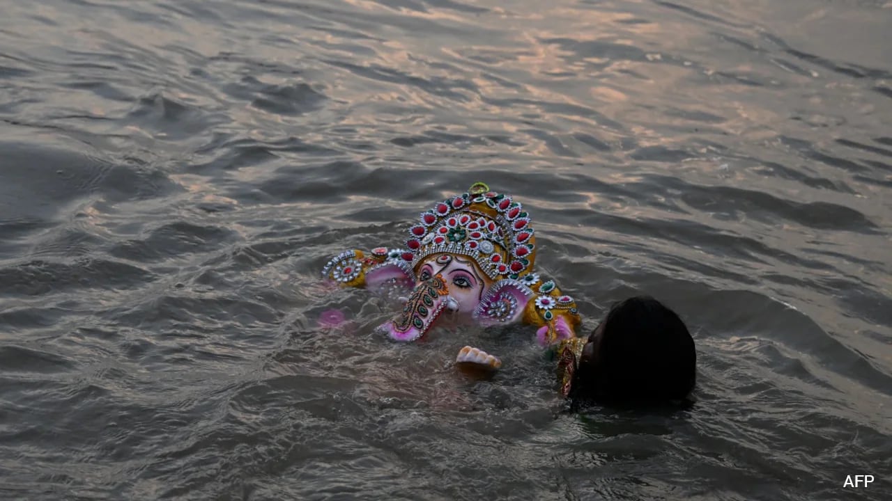 No Ganesh Idol Immersion In Water Bodies From 2027: Tamil Nadu To Green Court