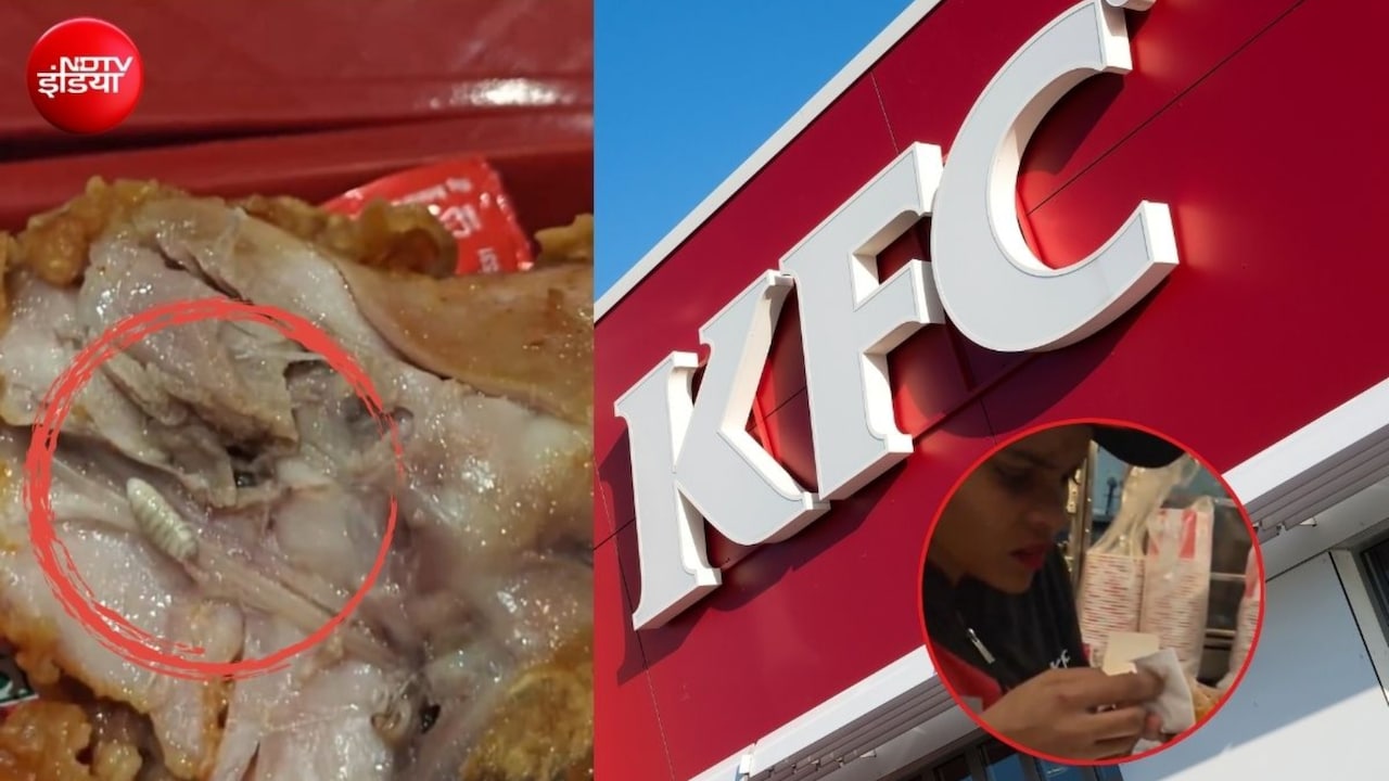 KFC के चिकन में निकला कीड़ा: वीडियो वायरल होने बाद गौर सिटी मॉल पहुंचे खाद्य सुरक्षा अधिकारी, जांच शुरू