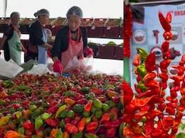 This GI-Tagged Chilli Is So Hot, Nagaland Minister Temjen Imna Along Says You Will 'Always Lose'