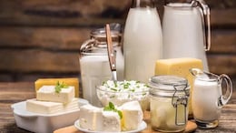 147 Litres Of Milk, 90 Kg Paneer Destroyed In Bihar Food Safety Drive