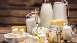 You Eat Dairy Every Day. Can You Still Develop Osteoporosis?