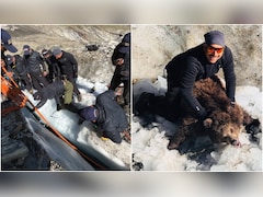 'काटना मत भाई', 16500 फीट ऊंचे ग्लेशियर की दरार में फंसा था भालू का बच्चा, रेस्क्यू के बाद मां ने कहा- थैंक्यू