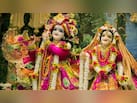 Radha Ashtami: राधा अष्टमी के दिन आज जरूर करें श्री राधा कृपा कटाक्ष स्तोत्र का पाठ