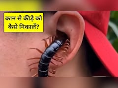 कान में कोई कीड़ा चला जाए तो कैसे निकालें? ENT स्पेशलिस्ट ने बताया सबसे पहले क्या करना चाहिए