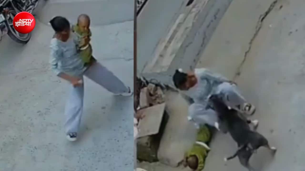 6 महीने बच्‍चे पर पिटबुल का अटैक, जबड़ों में दबाकर घसीटता रहा, दिल दहलाने वाली घटना CCTV में कैद 