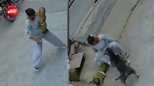 6 महीने बच्&zwj;चे पर पिटबुल का अटैक, जबड़ों में दबाकर घसीटता रहा, दिल दहलाने वाली घटना CCTV में कैद&nbsp;