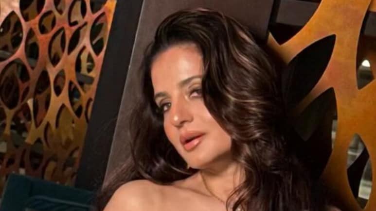 Ameesha Patel's Mumbai Home Robbed, Jewellery Worth Rs 5 Lakh Stolen