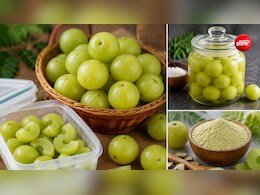 आंवला को लंबे समय तक कैसे स्टोर करें? अपनाएं ये 3 ट्रिक्स, रहेगा 6 महीनों तक बिल्कुल फ्रेश