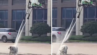 Dog Gets Aerial Shower As Chinese Firm Demonstrates New Cleaning Drone