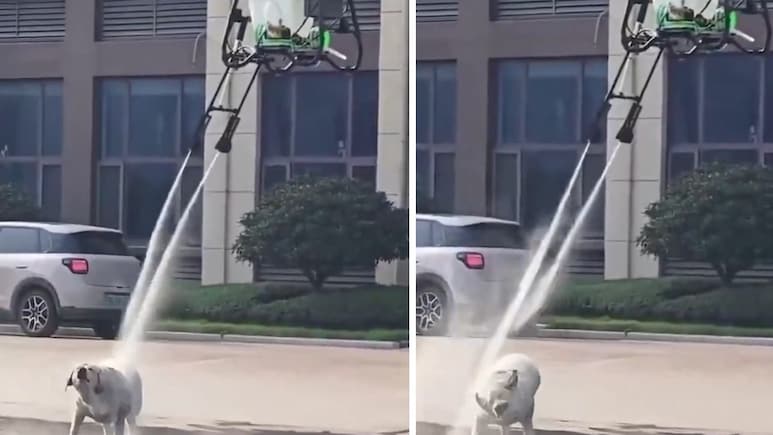 Dog Gets Aerial Shower As Chinese Firm Demonstrates New Cleaning Drone