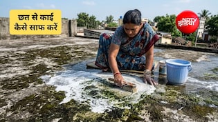 छत से काई कैसे हटाएं? काई हटाने के लिए कौन सी दवा अच्छी है, जान&zwj;िए यहां