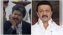 Vijay Faces DMK Heat Over 'Jaw Gesture', Ally Also Decries It As Reference To MK Stalin's 1976 Arrest