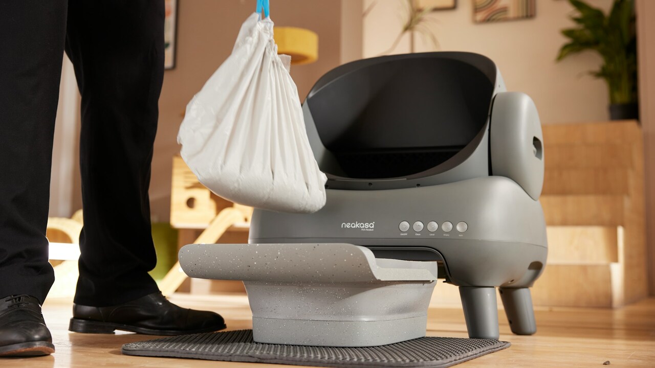 How to choose between clumping and non clumping litter How to choose between clumping and non clumping litter