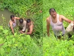 Wanted In 16 Cases, Karnataka Man Hid In Pond To Dodge Cops. It Didn't Work.