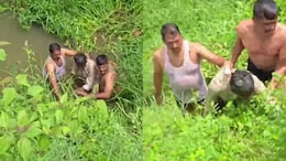 Wanted In 16 Cases, Karnataka Man Hid In Pond To Dodge Cops. It Didn't Work