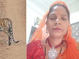 Tiger Kills Woman Worker In Jaipur's Nahargarh Biological Park, Sparks Panic