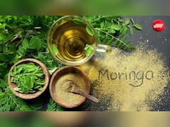 मोरिंगा के पत्तों की चाय कैसे बनाएं? जानें रेसिपी और इसके जबरदस्त फायदे