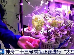 Chinese Astronauts Show How They Grow Plants Aboard China’s Space Station