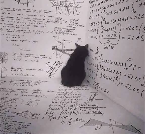 Blog | Why You Should Care Whether Schrodinger's Cat Is Dead Or Alive