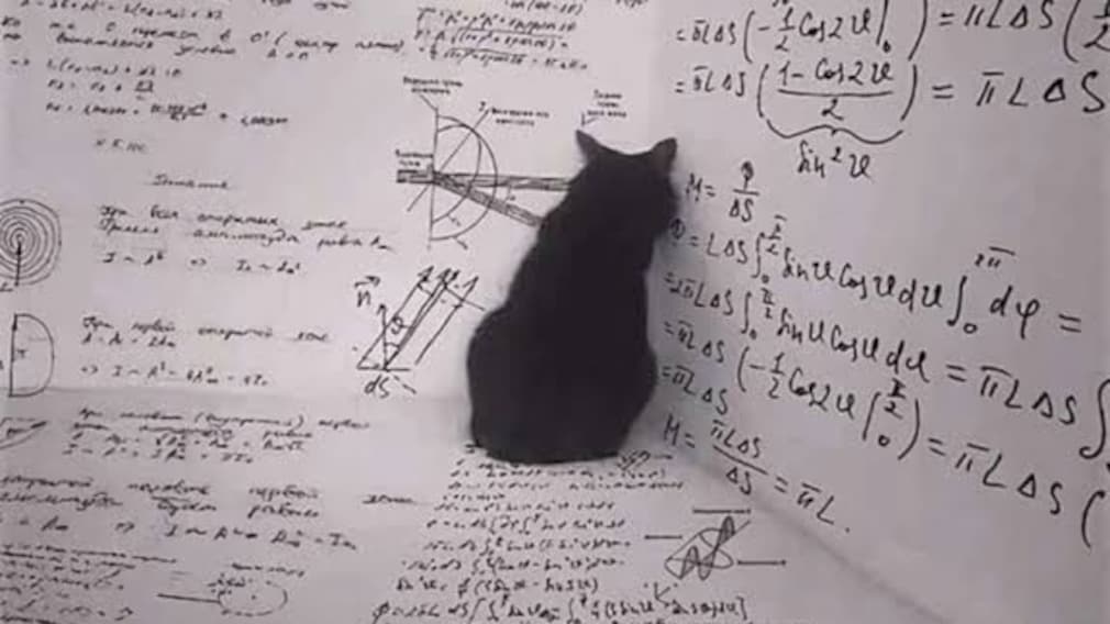 Blog | Why You Should Care Whether Schrodinger's Cat Is Dead Or Alive