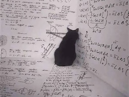 Blog | Why You Should Care Whether Schrodinger's Cat Is Dead Or Alive