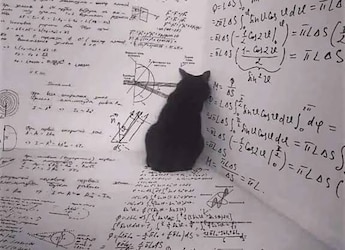 Blog | Why You Should Care Whether Schrodinger's Cat Is Dead Or Alive