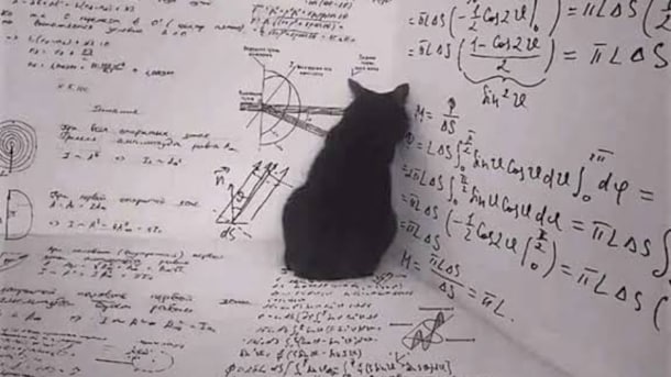Blog | Why You Should Care Whether Schrodinger's Cat Is Dead Or Alive