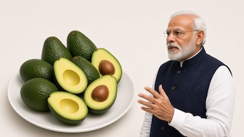 Why Avocado Toast Featured In PM Modi's Latest Social Media Reel