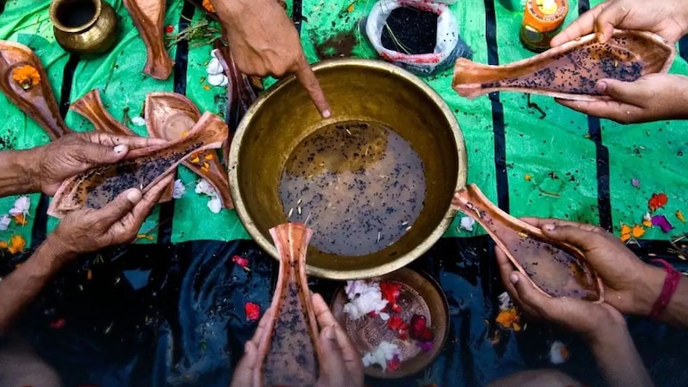 पितरों के तर्पण में काला तिल क्यों चढ़ाया जाता है? जानिए धार्मिक और आध्यात्मिक महत्व