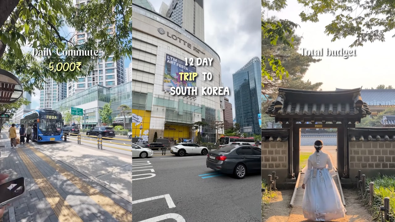 Woman Shares How She Explored South Korea In 12 Days For Just Rs 85,000