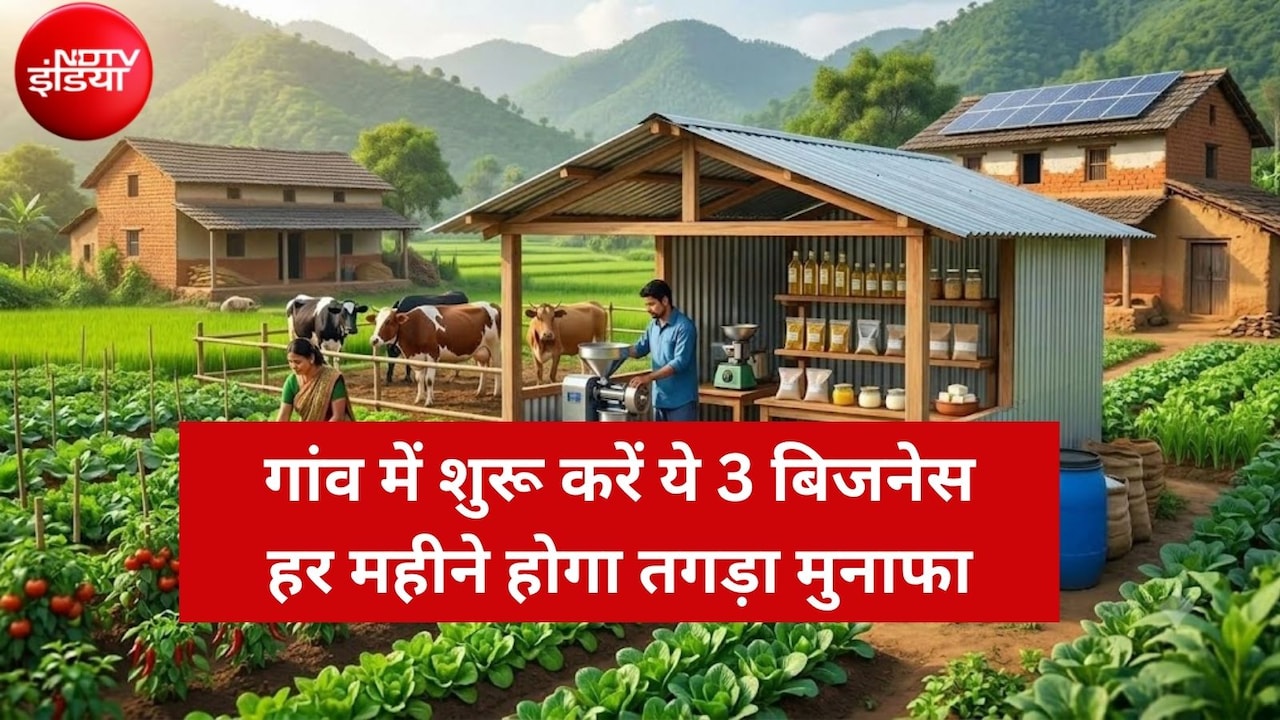 Village Business Ideas: गांव में शुरू करें ये 3 बिजनेस, हर महीने होगी ₹60,000 तक की बंपर कमाई! सरकार भी देगी सब्सिडी