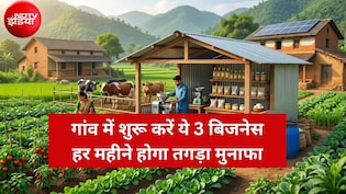 Business Ideas: गांव में शुरू करें ये 3 बिजनेस, हर महीने होगी ₹60,000 तक की बंपर कमाई! सरकार भी देगी सब्सिडी