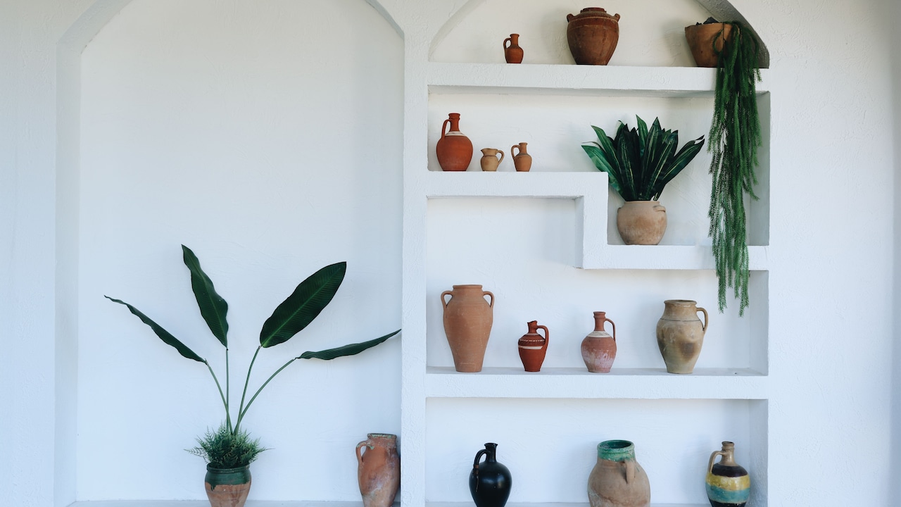 Why Terracotta Pots Turn White: 10 Watering And Soil Habits To Blame Why Terracotta Pots Turn White: 10 Watering And Soil Habits To Blame