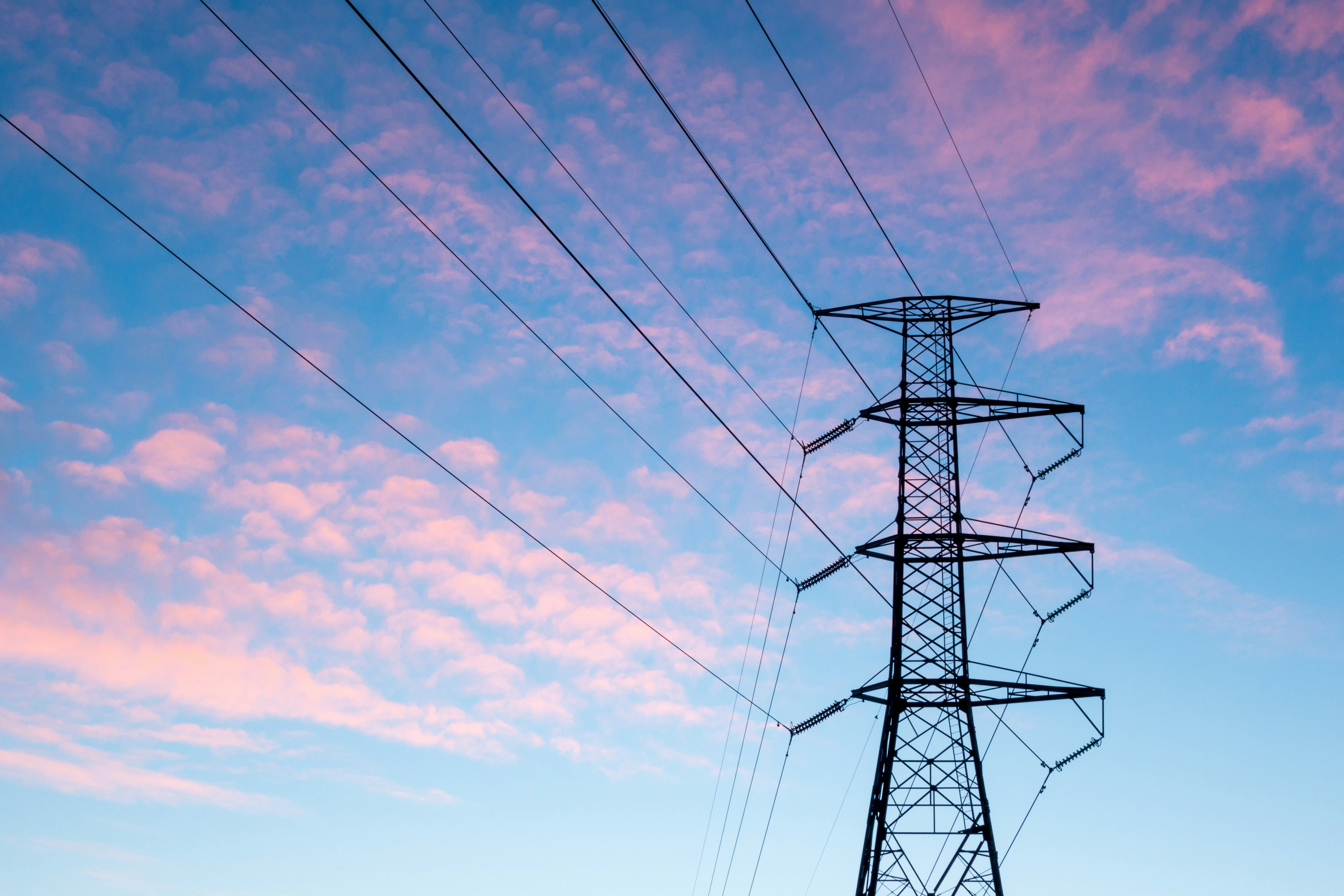 Jefferies lists Adani Energy, JSW Energy and NTPC as top power picks