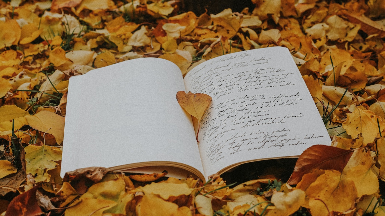 Poetry books for thoughtful reading moments