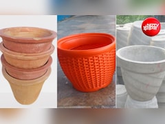 Gardening Tips: मिट्टी, सीमेंट या प्लास्टिक... आपके पौधों के लिए कौन सा गमला रहेगा सबसे अच्छा, जानिए यहां